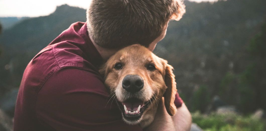 Comment prendre soin de votre chien ?