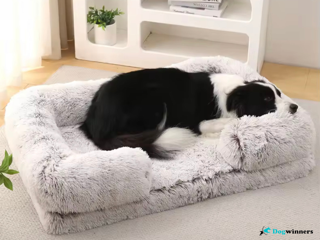 Cocon™ - Canapé mémoire de forme