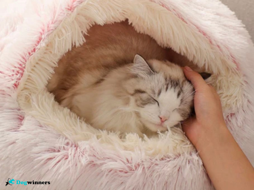 Cocon Love™ - Nid douillet pour animaux
