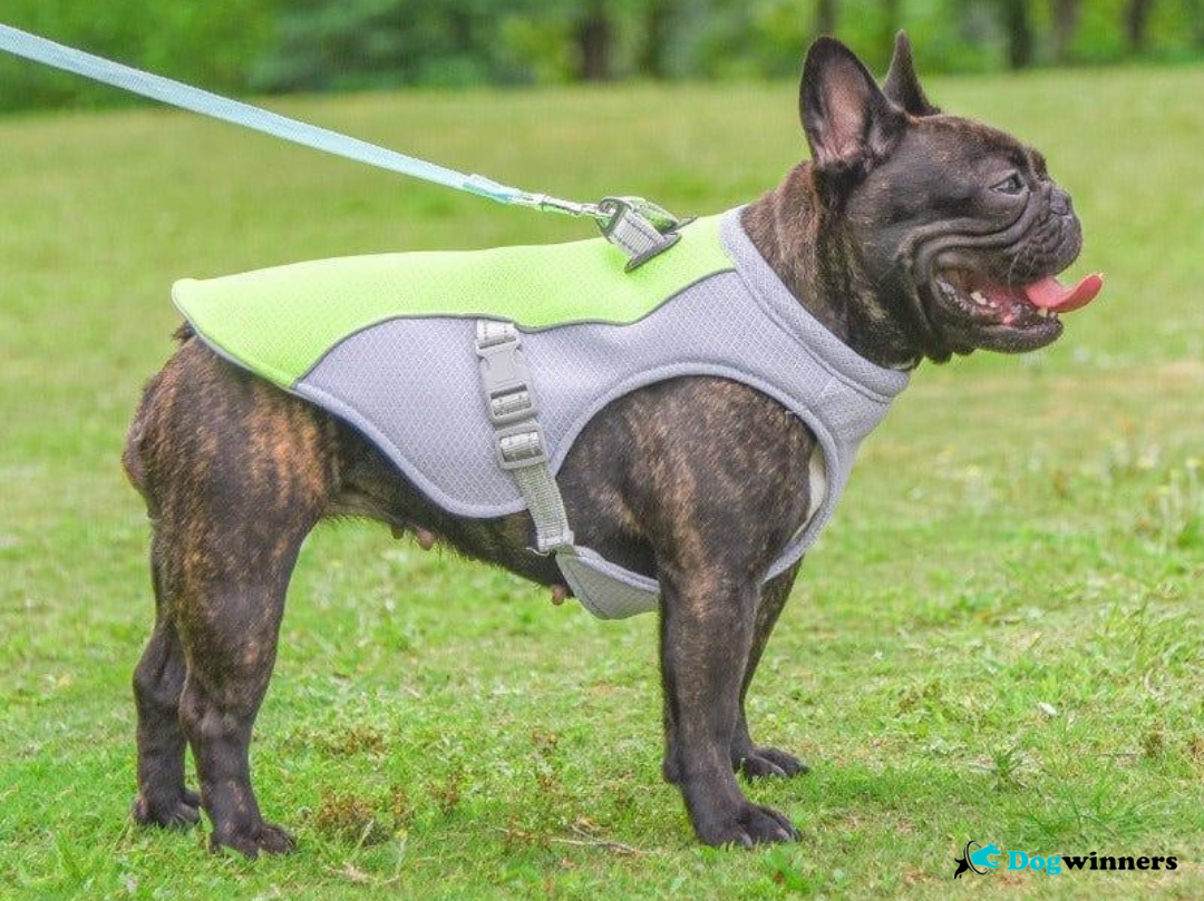 Sunny Fresh™ - Gilet rafraîchissant