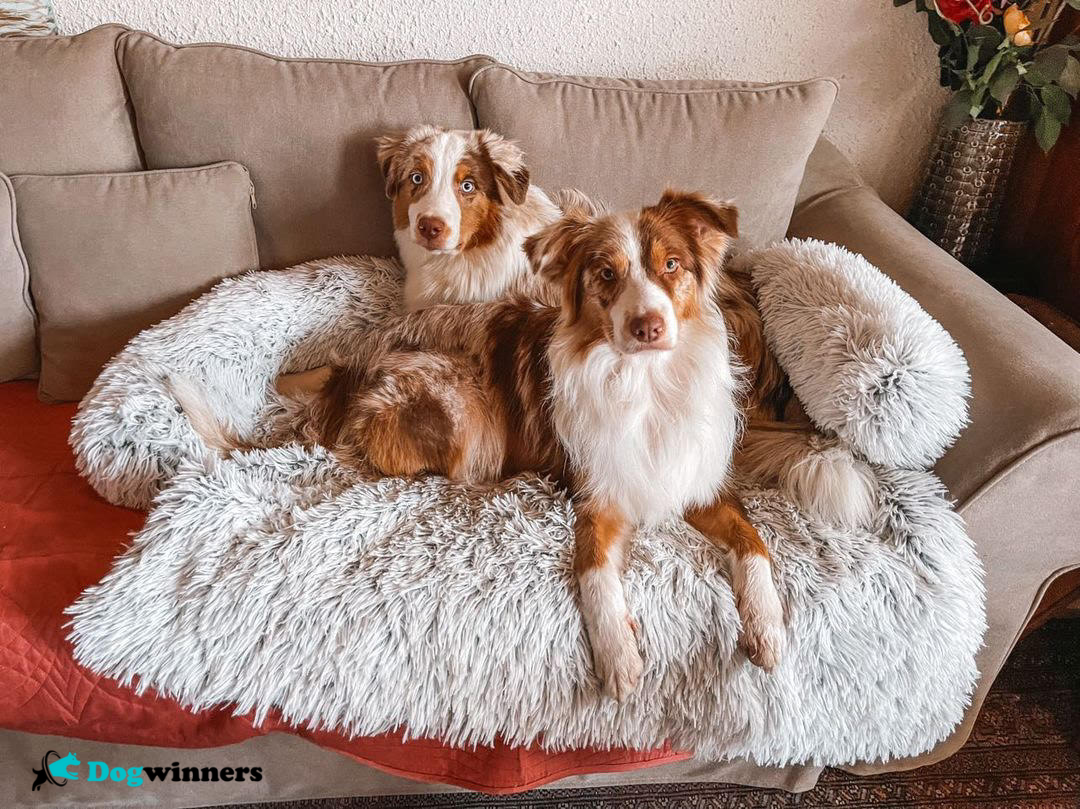 Cocooning Bed™ - Protecteur de canapé relaxant pour animaux