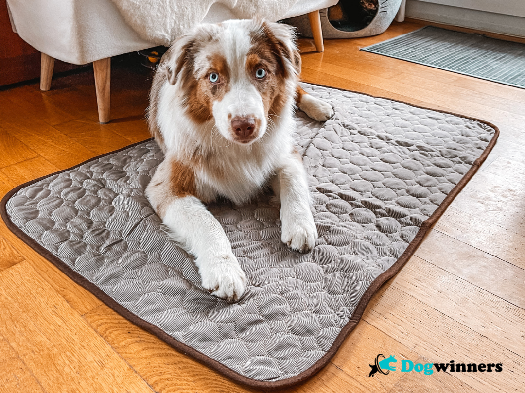 Tapis Rafraîchissant FreshVibes™ - Fraicheur intelligente