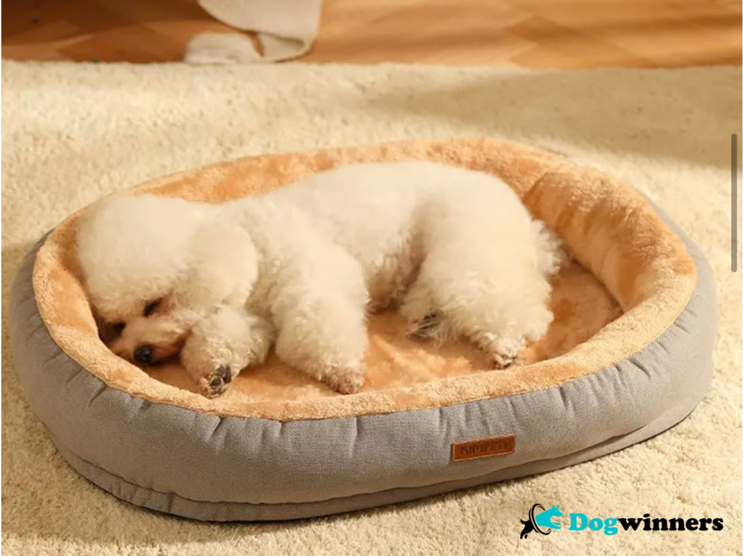 Kimpety™ - Coussin confort pour animaux