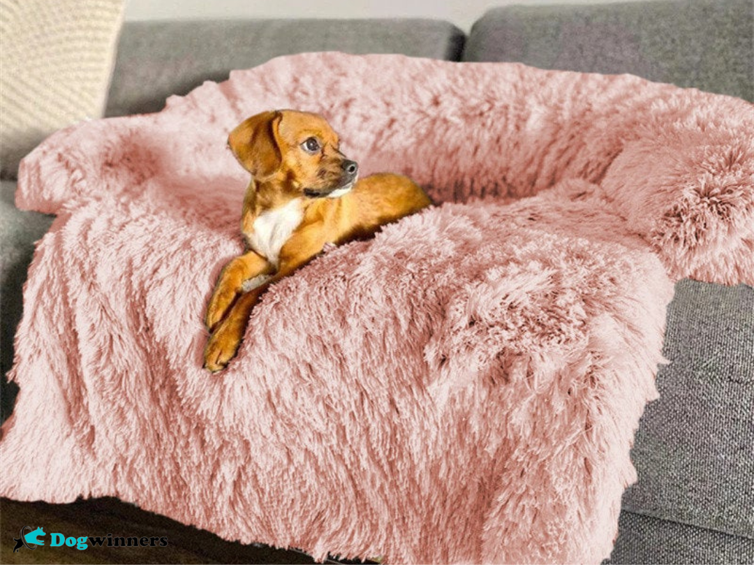 Cocooning Bed™ - Protecteur de canapé relaxant pour animaux