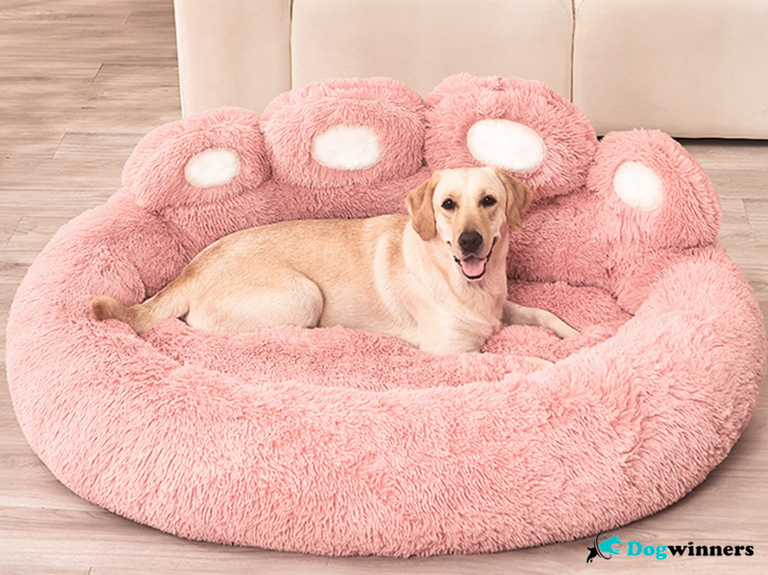 Cuddle Lover™ - Coussin relaxant pour animaux