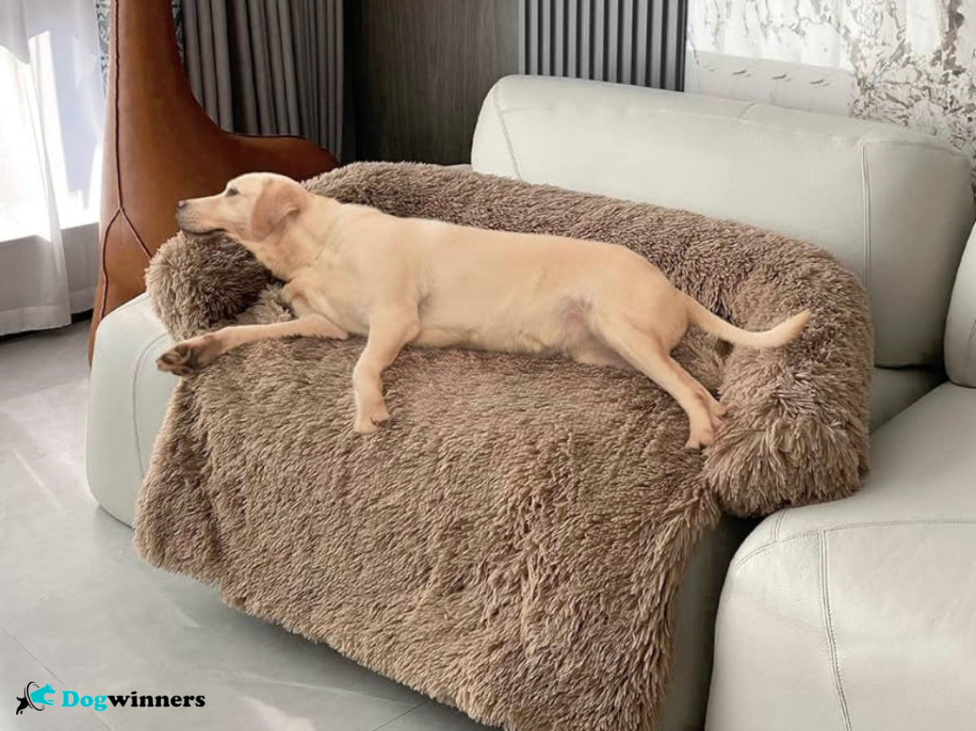 Cocooning Bed™ - Protecteur de canapé relaxant pour animaux