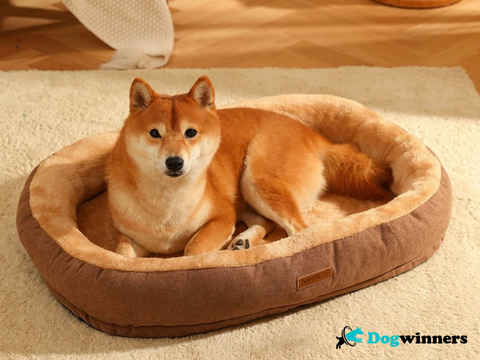 Coussin Cocooning " Kimpety " DogWinners™ Chien & Chat